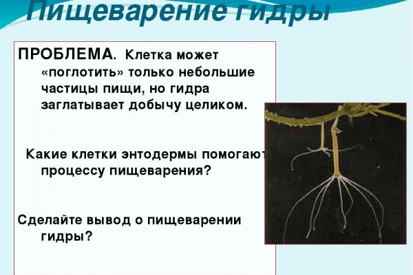 Кракен ссылка онион зеркало